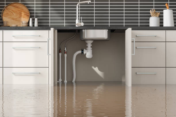Best Water damage restoration mold remediation  in Union Mill, VA