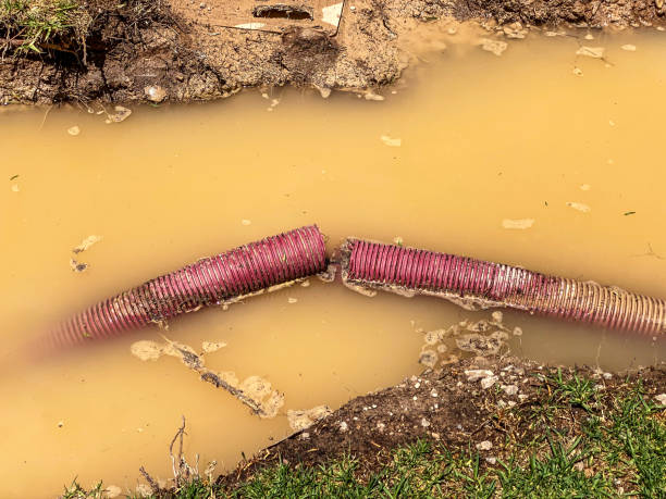 Best Water damage restoration near me  in Union Mill, VA